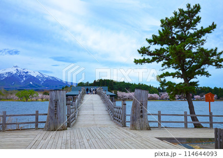 鶴の舞橋と岩木山 満開の桜 鶴の舞橋と岩木山 満開の桜 114644093