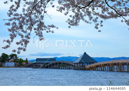 鶴の舞橋と満開の桜 鶴の舞橋と満開の桜 114644095