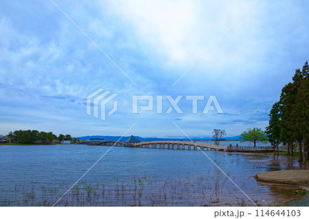 鶴の舞橋と満開の桜 114644103