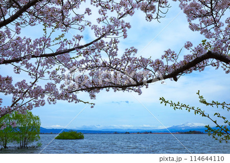 津軽富士見湖と満開の桜 114644110