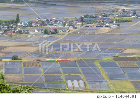 初夏の会津盆地の風景と只見線の列車　蓋沼からの俯瞰　福島県会津美里町 114644391
