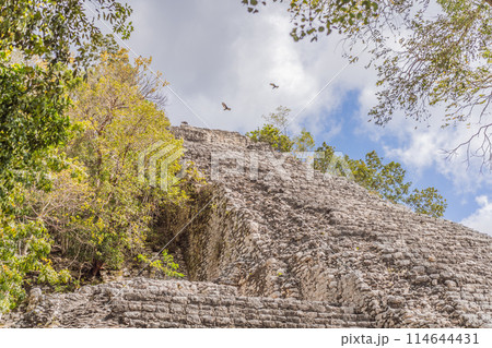 Coba, Mexico. Ancient mayan city in Mexico. Coba is an archaeological area and a famous landmark of Yucatan Peninsula. Cloudy sky over a pyramid in Mexico 114644431