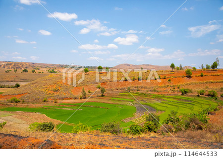 Typical Madagascar landscape rice terrace fields Typical Madagascar landscape rice terrace fields 114644533