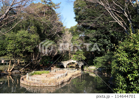 東京都市風景　有栖川宮記念公園 114644701