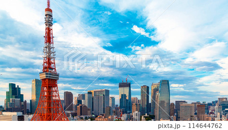 Aerial view of Minato, Tokyo, Japan 114644762