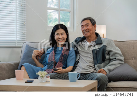 Relax, home and mature couple on sofa hug for bonding, healthy relationship and marriage. Retirement, happy 114645741