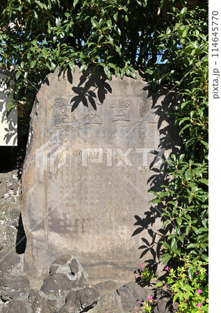 上尾宿散歩 中山道上尾宿 氷川鍬神社 上尾市宮本町 上尾宿散歩 中山道上尾宿 氷川鍬神社 上尾市宮本町 114645770