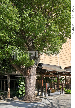 上尾宿散歩 中山道上尾宿 氷川鍬神社 上尾市宮本町 上尾宿散歩 中山道上尾宿 氷川鍬神社 上尾市宮本町 114645779