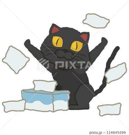 ティッシュにいたずらする黒猫 114645899