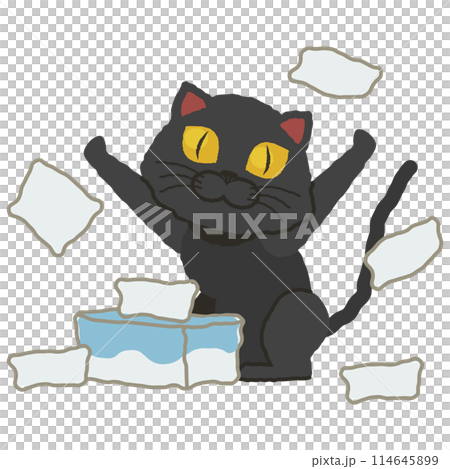 ティッシュにいたずらする黒猫 114645899