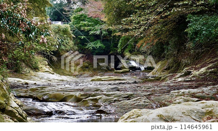 千葉県大多喜町養老渓谷の秋の粟又の滝 千葉県大多喜町養老渓谷の秋の粟又の滝 114645961