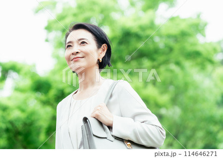 通勤するビジネスウーマン 114646271