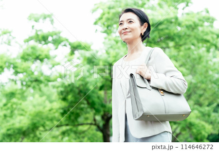 通勤するビジネスウーマン 通勤するビジネスウーマン 114646272