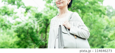 通勤するビジネスウーマン 114646273