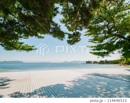 海が見えるウッドデッキ　旅行　夏のリゾート 114646523