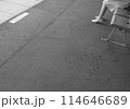 駅のホームに座る人 114646689