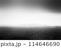 雨の日の街の先に見える街並み 114646690
