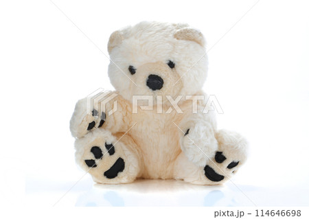 Tan Teddy Bear on white 114646698