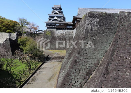 熊本城 二様の石垣と天守閣 熊本城 二様の石垣と天守閣 114646802