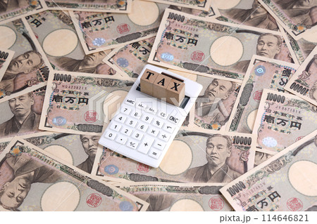 税金 所得 マネー 税金 所得 マネー 114646821