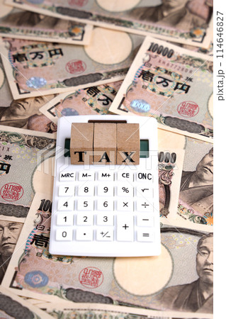 税金 所得 マネー 税金 所得 マネー 114646827