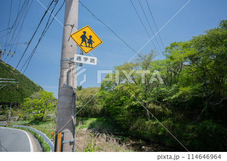 交通事故防止のための道路標識や道路標示 114646964