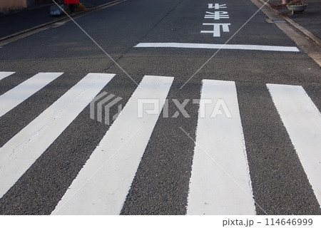 交通事故防止のための道路標識や道路標示 交通事故防止のための道路標識や道路標示 114646999