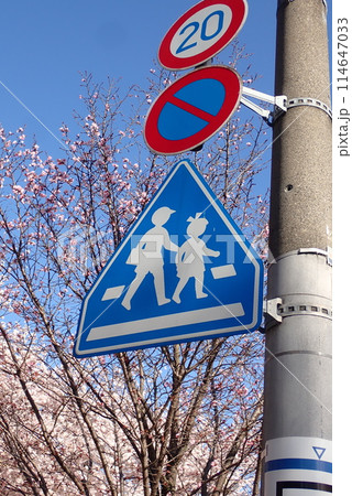 交通事故防止のための道路標識や道路標示 114647033