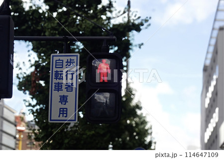交通事故防止のための道路標識や道路標示 交通事故防止のための道路標識や道路標示 114647109