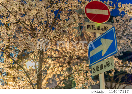 交通事故防止のための道路標識や道路標示 114647117