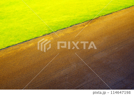 土と芝生のグラウンド 土と芝生のグラウンド 114647198