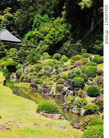 龍潭寺の竜の形をした池2 114647450
