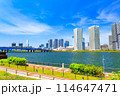 東京都　湾岸エリアの街並み（豊洲、晴海、勝どき 114647471