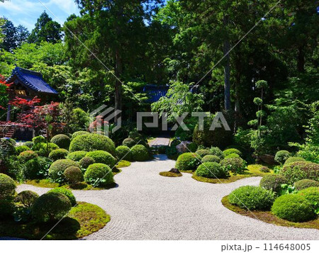 龍潭寺の庭園 114648005