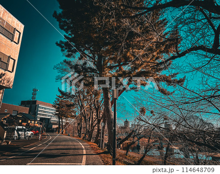 乙川沿いの散歩道 東岡崎駅 愛知県 岡崎市 乙川沿いの散歩道 東岡崎駅 愛知県 岡崎市 114648709