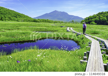 初夏の尾瀬ヶ原ハイク 初夏の尾瀬ヶ原ハイク 114649316