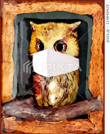 巣穴にいるフクロウ 114649429