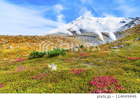北海道 旭岳　～冠雪と紅葉のコントラスト～ 114649446