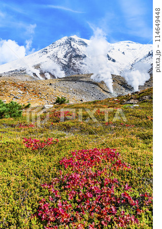 北海道 旭岳 ~冠雪と紅葉のコントラスト~ 北海道 旭岳 ~冠雪と紅葉のコントラスト~ 114649448