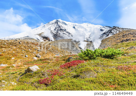 北海道 旭岳 ~冠雪と紅葉のコントラスト~ 北海道 旭岳 ~冠雪と紅葉のコントラスト~ 114649449