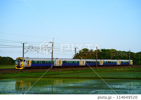 田植えの季節に走る特急新宿わかしお 千葉県長生村の風景 田植えの季節に走る特急新宿わかしお 千葉県長生村の風景 114649520