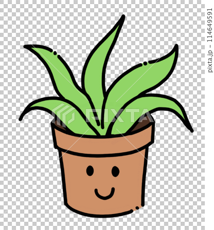 開心的植物 Happy Plant 開心的植物 Happy Plant 114649591