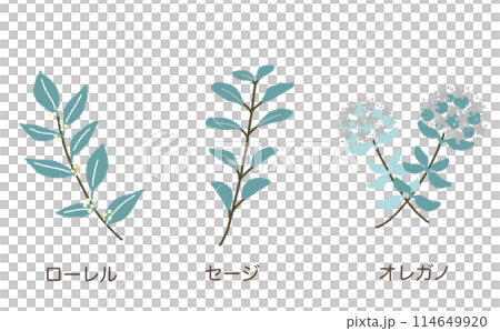 Illustration material set of three types of herbs 114649920