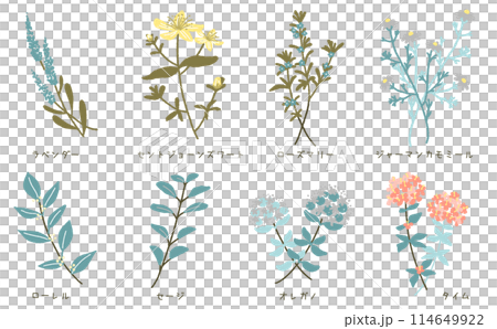 ハーブ8種セット イラスト素材 ハーブのカットイラスト ハーブ8種セット イラスト素材 ハーブのカットイラスト 114649922