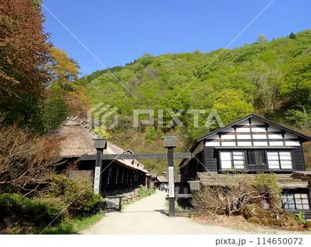 新緑の鶴の湯温泉 新緑の鶴の湯温泉 114650072