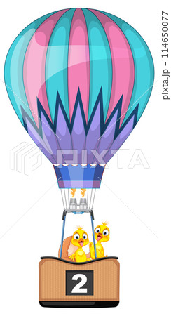Colorful Hot Air Balloon Adventure 114650077