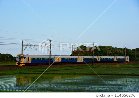 初夏の夕方の外房線：特急新宿わかしおの美しい鉄道風景 114650276