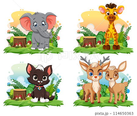 Cute Baby Animals in Nature 114650363
