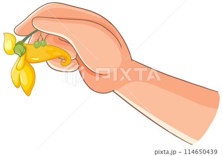 Hand Holding Yellow Flower Hand Holding Yellow Flower 114650439