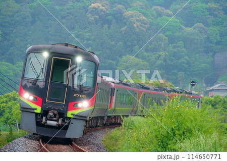 讃岐財田の大カーブを通過する2700系気動車・特急南風 114650771